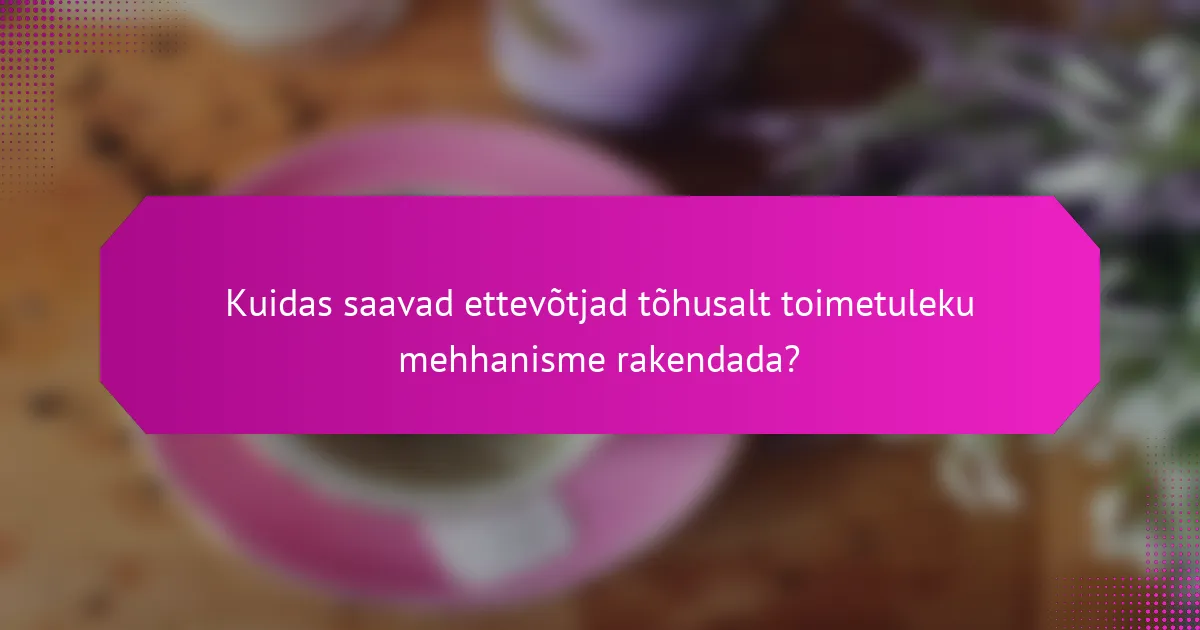 Kuidas saavad ettevõtjad tõhusalt toimetuleku mehhanisme rakendada?