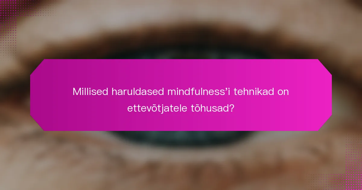 Millised haruldased mindfulness'i tehnikad on ettevõtjatele tõhusad?