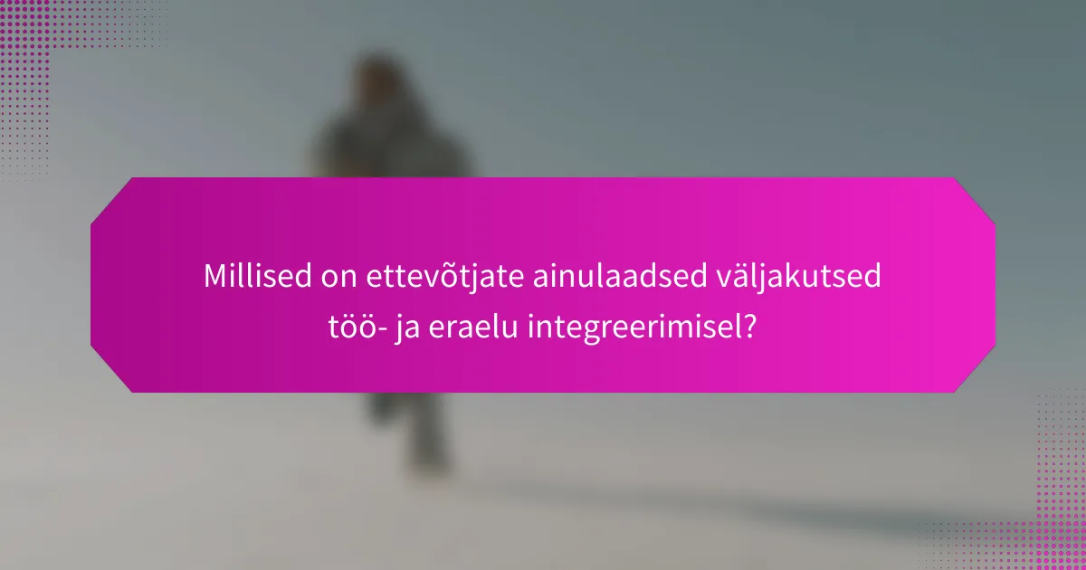 Millised on ettevõtjate ainulaadsed väljakutsed töö- ja eraelu integreerimisel?