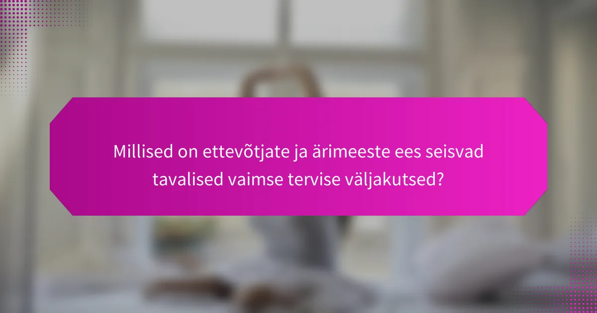 Millised on ettevõtjate ja ärimeeste ees seisvad tavalised vaimse tervise väljakutsed?