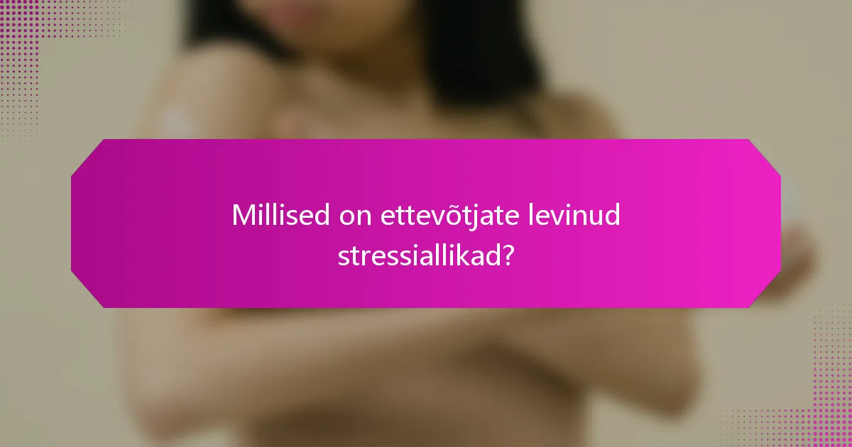 Millised on ettevõtjate levinud stressiallikad?