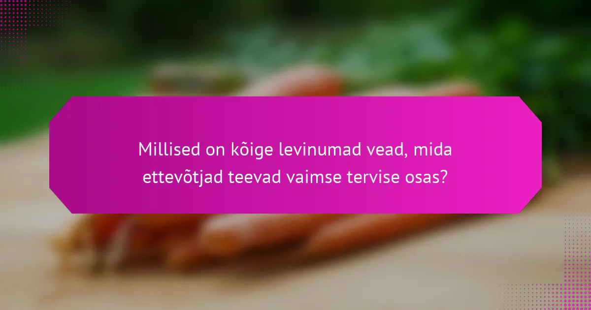 Millised on kõige levinumad vead, mida ettevõtjad teevad vaimse tervise osas?