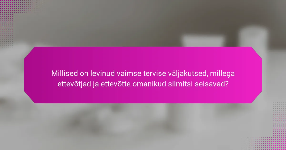 Millised on levinud vaimse tervise väljakutsed, millega ettevõtjad ja ettevõtte omanikud silmitsi seisavad?
