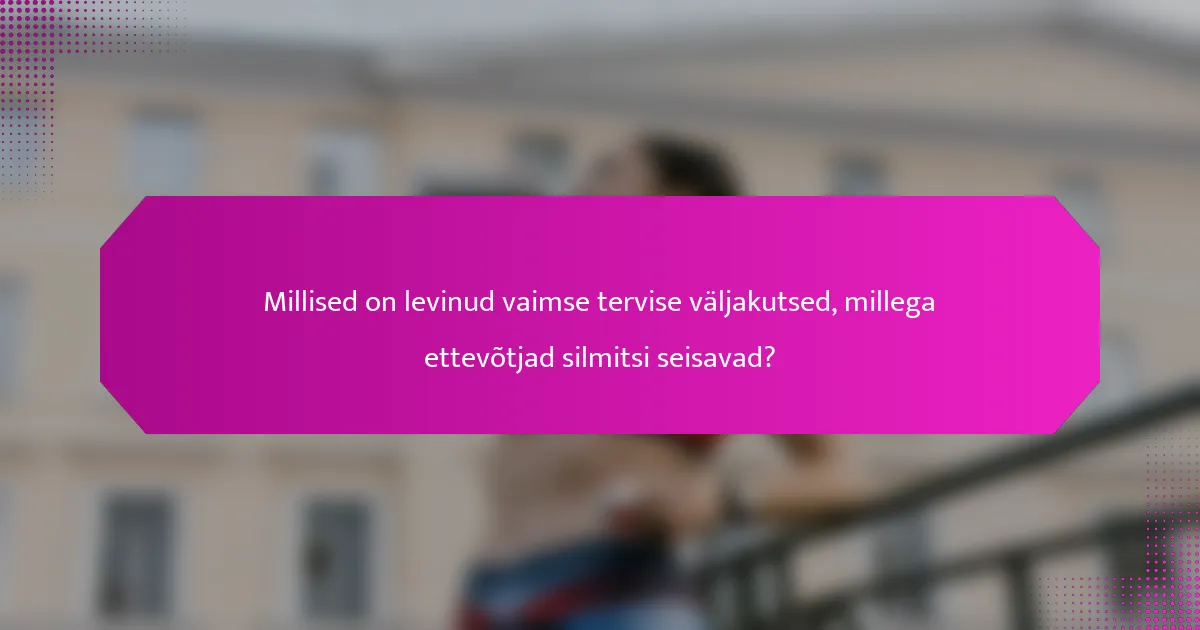 Millised on levinud vaimse tervise väljakutsed, millega ettevõtjad silmitsi seisavad?