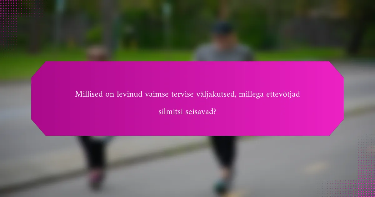 Millised on levinud vaimse tervise väljakutsed, millega ettevõtjad silmitsi seisavad?