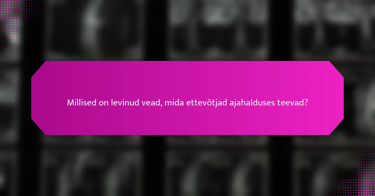 Millised on levinud vead, mida ettevõtjad ajahalduses teevad?