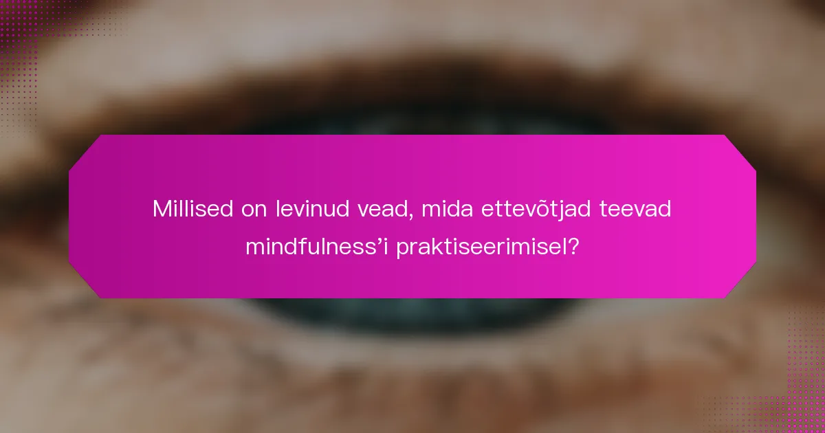 Millised on levinud vead, mida ettevõtjad teevad mindfulness'i praktiseerimisel?