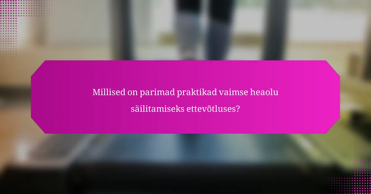 Millised on parimad praktikad vaimse heaolu säilitamiseks ettevõtluses?