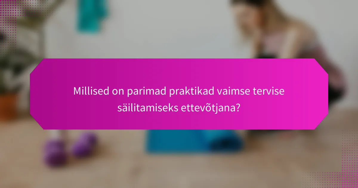 Millised on parimad praktikad vaimse tervise säilitamiseks ettevõtjana?
