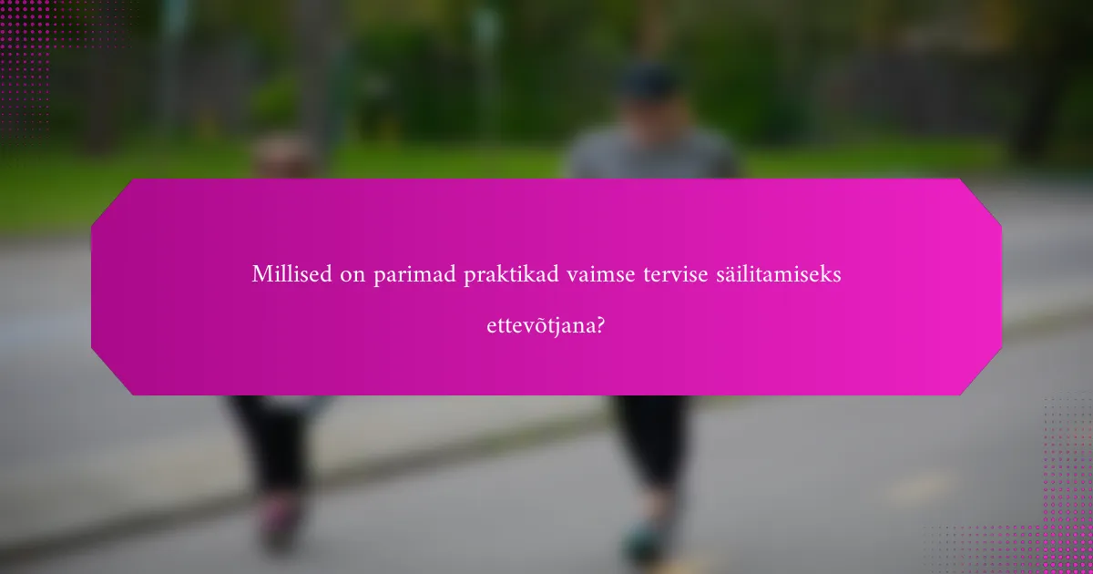 Millised on parimad praktikad vaimse tervise säilitamiseks ettevõtjana?
