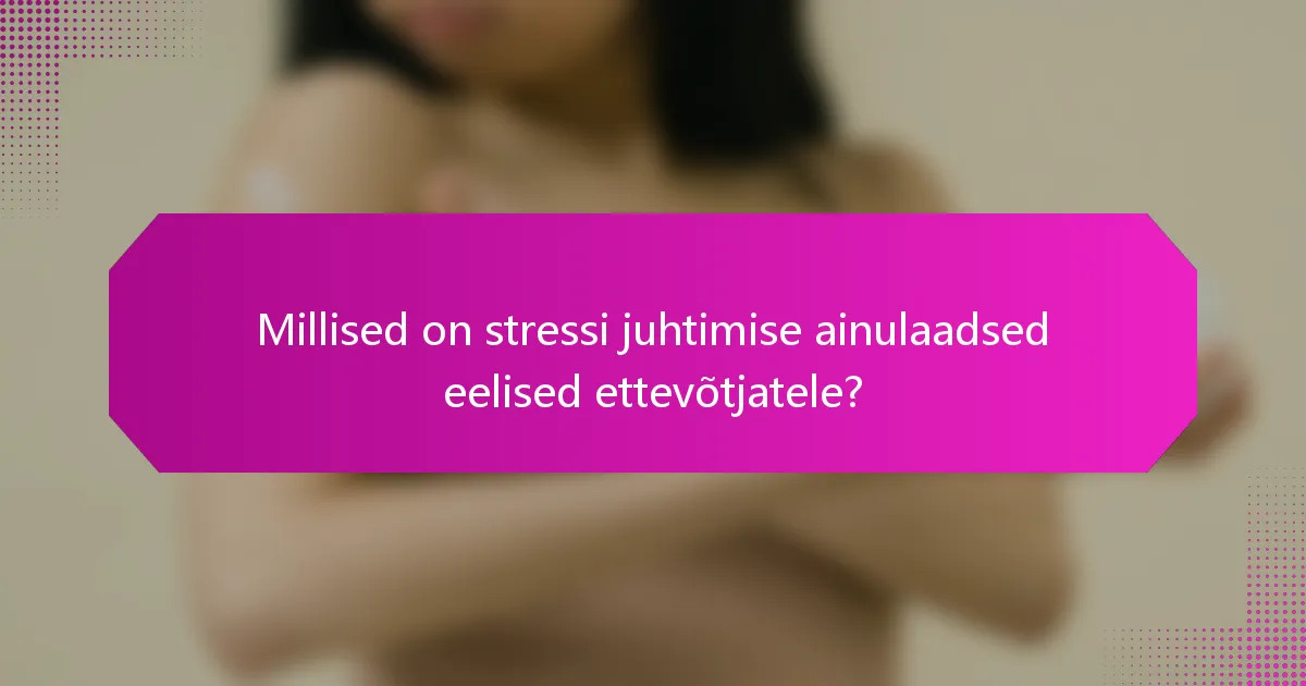 Millised on stressi juhtimise ainulaadsed eelised ettevõtjatele?