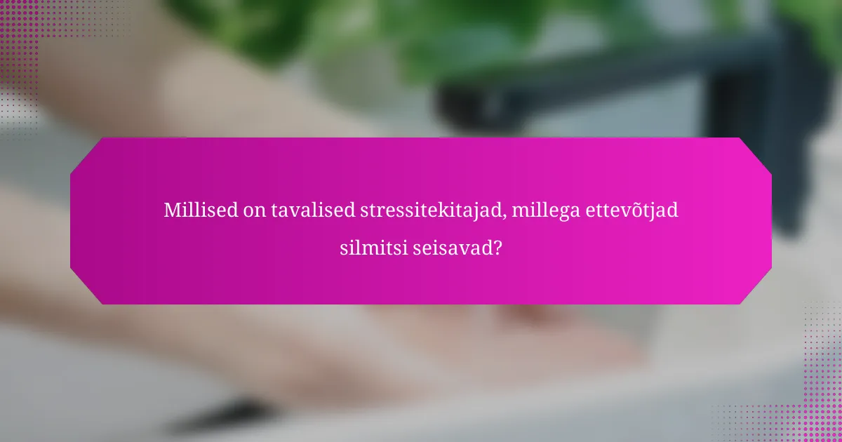 Millised on tavalised stressitekitajad, millega ettevõtjad silmitsi seisavad?