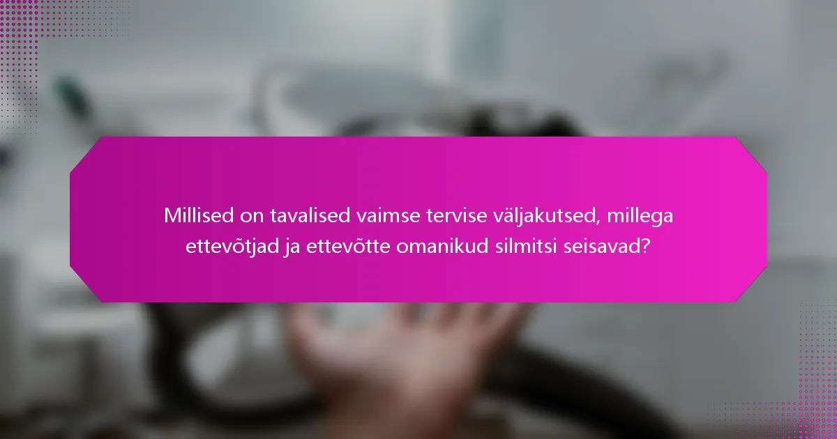 Millised on tavalised vaimse tervise väljakutsed, millega ettevõtjad ja ettevõtte omanikud silmitsi seisavad?