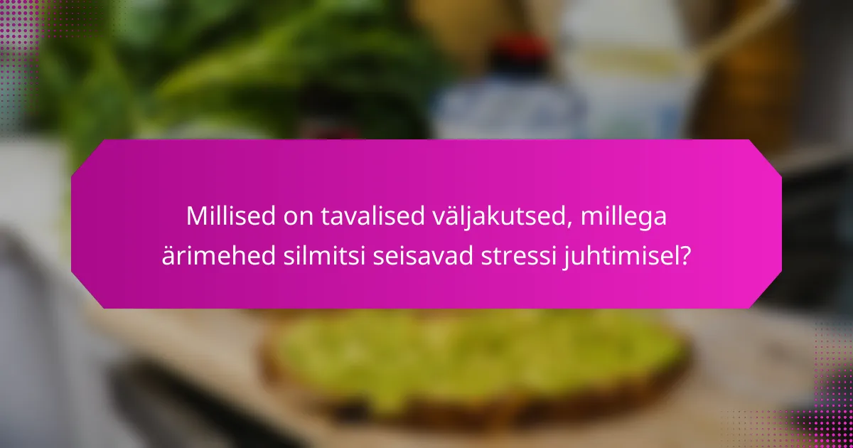 Millised on tavalised väljakutsed, millega ärimehed silmitsi seisavad stressi juhtimisel?