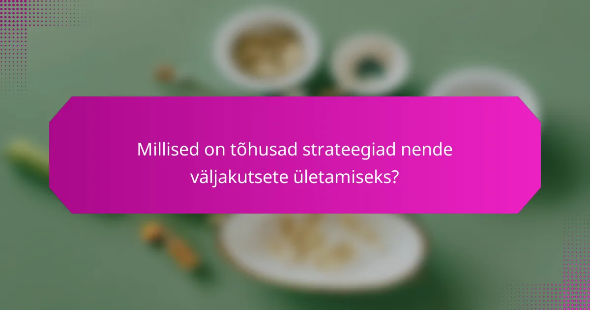 Millised on tõhusad strateegiad nende väljakutsete ületamiseks?