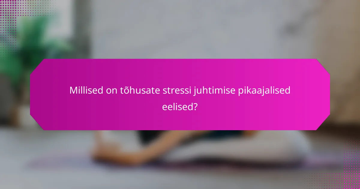 Millised on tõhusate stressi juhtimise pikaajalised eelised?