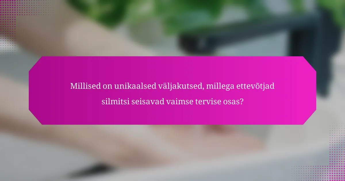 Millised on unikaalsed väljakutsed, millega ettevõtjad silmitsi seisavad vaimse tervise osas?