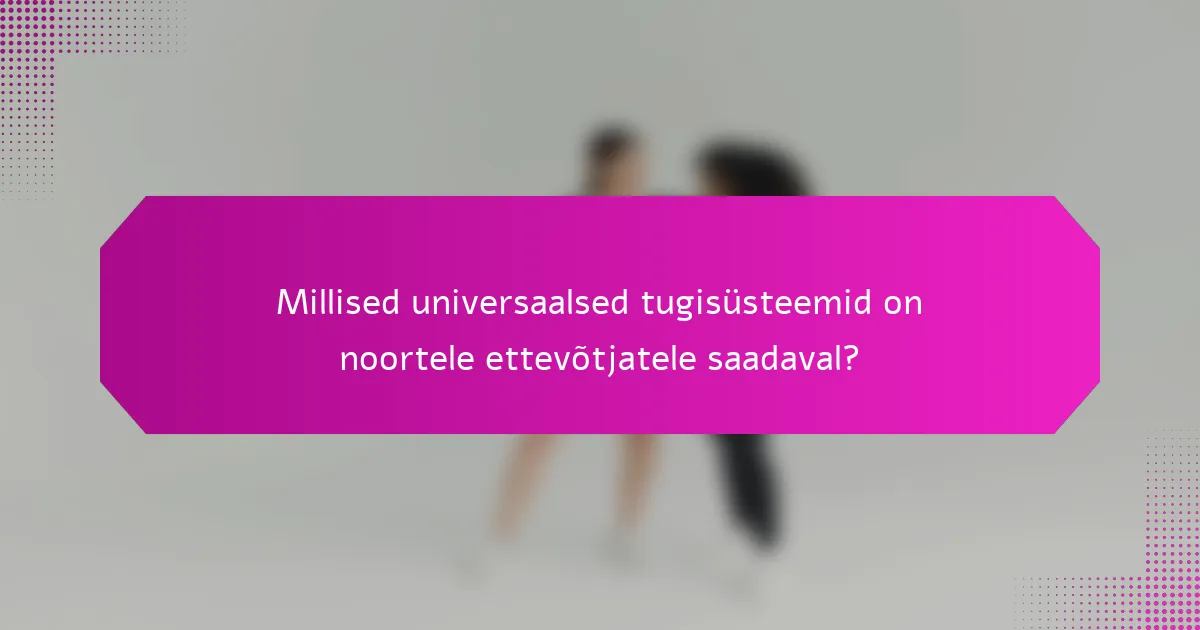 Millised universaalsed tugisüsteemid on noortele ettevõtjatele saadaval?