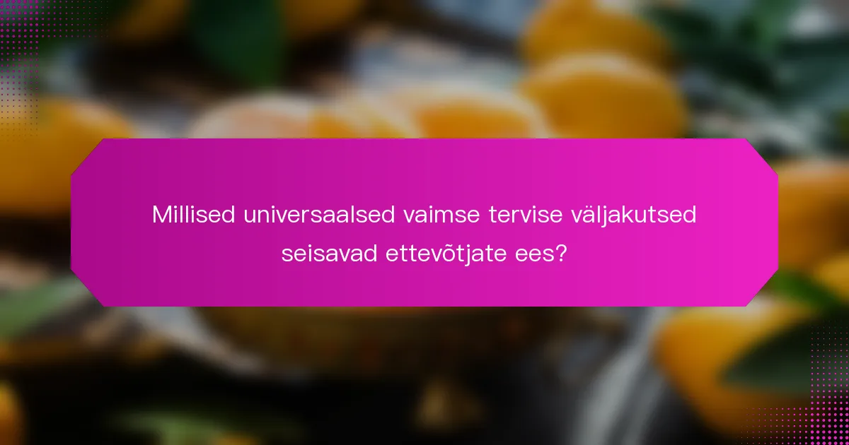 Millised universaalsed vaimse tervise väljakutsed seisavad ettevõtjate ees?