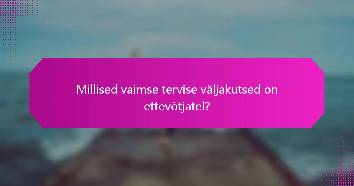 Millised vaimse tervise väljakutsed on ettevõtjatel?