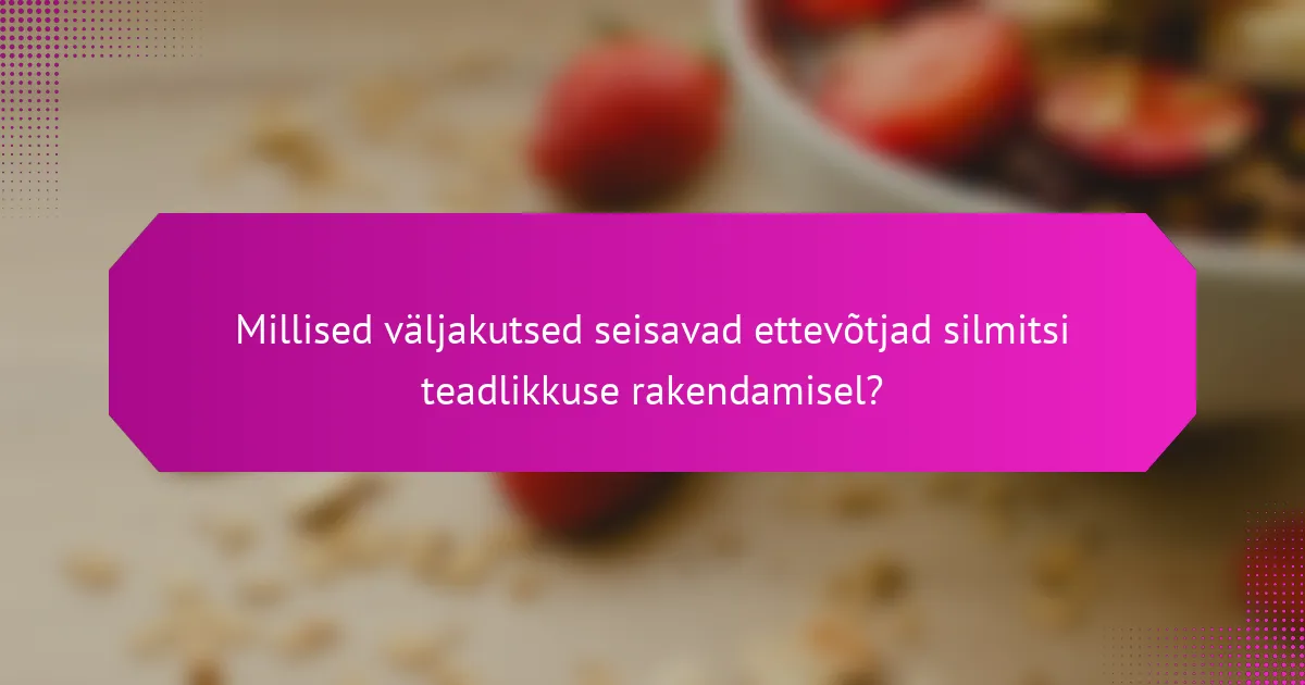 Millised väljakutsed seisavad ettevõtjad silmitsi teadlikkuse rakendamisel?