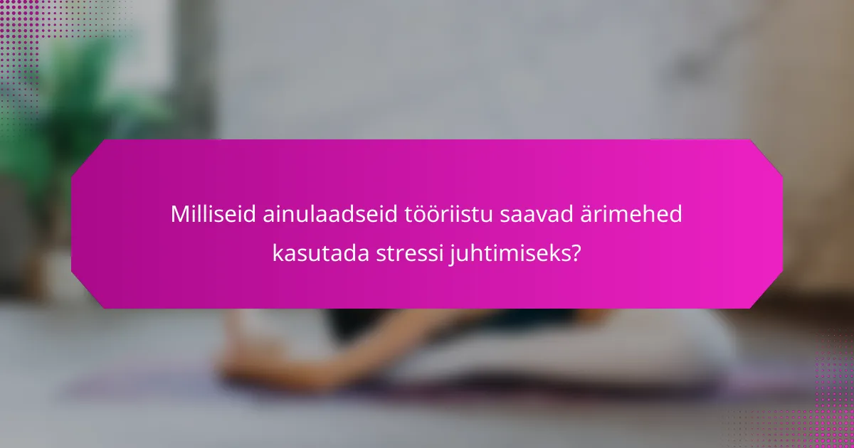 Milliseid ainulaadseid tööriistu saavad ärimehed kasutada stressi juhtimiseks?