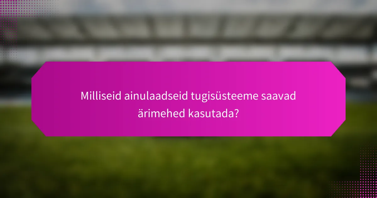 Milliseid ainulaadseid tugisüsteeme saavad ärimehed kasutada?