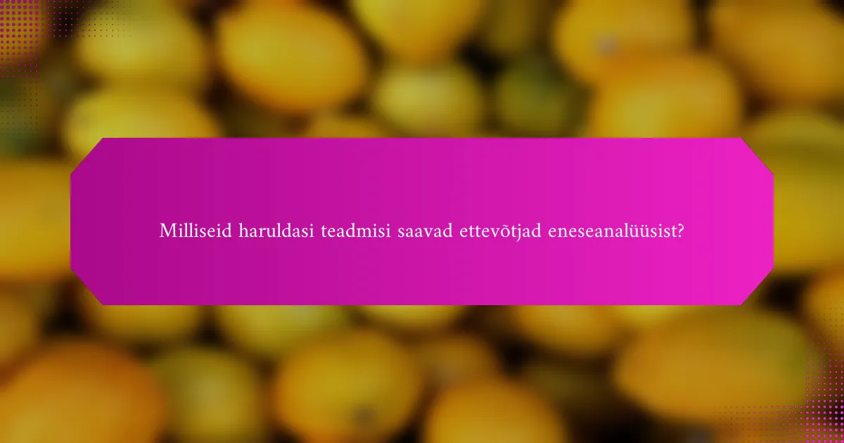 Milliseid haruldasi teadmisi saavad ettevõtjad eneseanalüüsist?