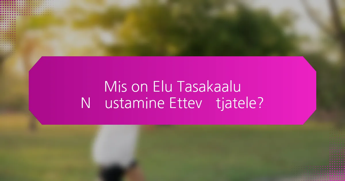Mis on Elu Tasakaalu Nõustamine Ettevõtjatele?